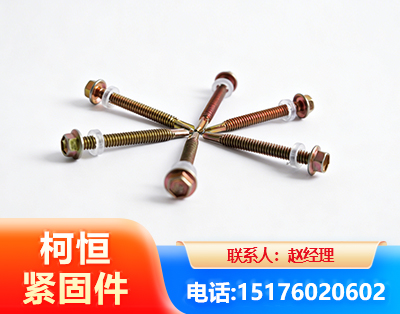白城六角钻尾丝